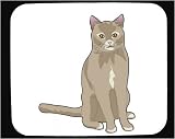 Mouse Pad with grey, Singapura, domestic, cat, shorthair, hona, pet, katt, animal, gray, feline, breed