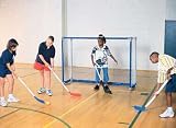 Jaypro Floor Hockey Goal And Net