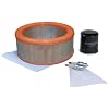 Generac 5665 Maintenance Kit for 20kW, 999cc Engine