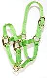 Hamilton 3/4 Adjustable Quality Horse Halter, Pony, lime