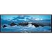 Toys : Island of Ouessant, France 1,000-pc. Puzzle