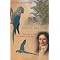 The best books about birding