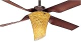Hunter 21188 Zoe2 Remote Control Bronze Patina Contemporary Ceiling Fan 52 Blade Span