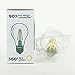 Eurus Home Vintage LED Filament Bulb A19 - 8W LED Light Bulb, Medium Screw E26 Base, Clear Soft White 2700K, LED Edison Bulb 75W Equivalent, 120VAC, Dimmable