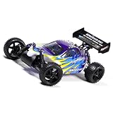 Fire Blue Exceed-RC Nitro Gas Ready to Run 1 Speed Beginner Buggy .16 Engine WITH... by EXCEED