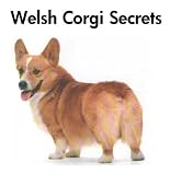 Welsh Corgi Secrets: How to Raise a Happy and Healthy Welsh Corgi