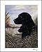 Art Poster Print - By the Dock - Artist: Ruane Manning - Poster Size: 16 X 20 inches