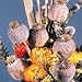 Poppy Seeds - Florist's Poppy