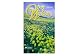 Book Open Windows :Spring 2006 (Large Print) (Southern Baptist Guide for Personal Devotions)