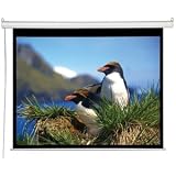 8FT Diagonal Accuscreens Ntsc Electric Wall Ceiling 60X80IN