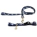 PET SET-LARGE -IND COLTS - Large