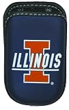 Team Case Collegiate Series, Illinois