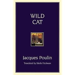 Wild Cat