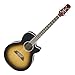 Takamine New PTU-107(GB) TBS