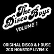 The Disco Boys - Vol. 1