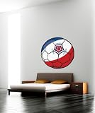 Vinyl Wall Decal Sticker Football Soccer France JH142s