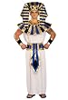 Adult Super Tut Costume