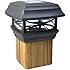 Moonrays 91253 Solar-Powered Post Cap LED Light for 4 by 4 Posts, Black