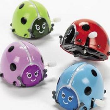 Fun Express Flipping Wind-Up Lady Bugs (1 Dozen)