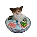 Poker Card Marker Papillon