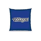Biederlack Toronto Blue Jays Floor Pillow