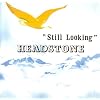 Still Looking