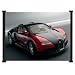 Bugatti Veyron Exotic Sports Car Fabric Wall Scroll Poster (24"x16") Inches