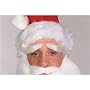 Deluxe Santa Eyebrows