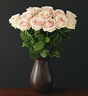 Autograph Sweet Avalanche+ Roses - Dozen