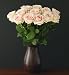 (00616553) Autograph Sweet Avalanche+ Roses - Dozen in Miscellaneous