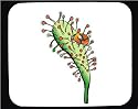 Decorated Mouse Pad with bug, lady, carnivorous, plant, human, body, insect, individuals, beetle, individual, persons, drosera, humans, sundew, people, person