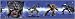 Transformers Peel & Stick Wall Border