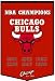 Chicago Bulls 24 Inch x 36 Inch Wool Dynasty Banner (Quantity of 1)