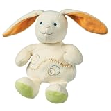 Mary Meyer Earthmates 100-Percent Organic Little Sprouts Bunny, Green, 7-Inches