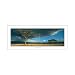 Chris Simpson - Olduvai Gorge Size 36x12 Poster Print