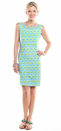 Joyous & Free Women’s Sleeveless Suri Dress L Ethnic