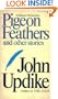 Pigeon Feathers and other stories