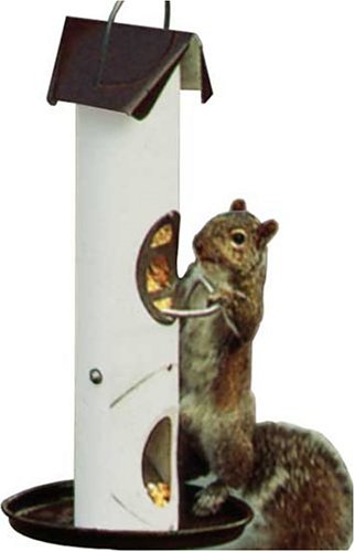 Varicraft NJM1 'NJoyEm Feeder Squirrel Feeder