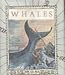 Tt Whales (Tiny Tomes)