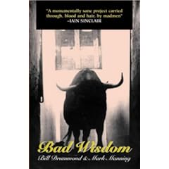 Bad Wisdom: The Lighthouse at the Top of the World