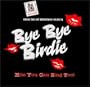 Bye Bye Birdie: From the Hit Broadway Musical - Hits You Can Sing Too!