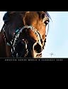 Arabian Horse World
