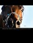 Arabian Horse World