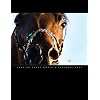Arabian Horse World