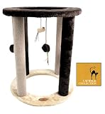 Catwalk Climber Singapore Cat Scratcher Post