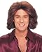 Feathered 70's Male Wig - Brown Adult 70s Costume Accessory