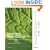 Learning Web Design: A Beginner's Guide to (X)HTML, StyleSheets, and Web Graphics