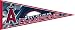 Los Angeles Angels of Anahiem 2005 West Division Champions Pennant