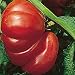 Zapotec Pleated Tomato 15 Seeds