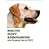 Positive Puppy Kindergarten